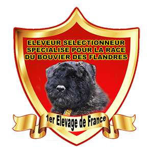 LOGO CLOS LUETTE COPYRIGHT